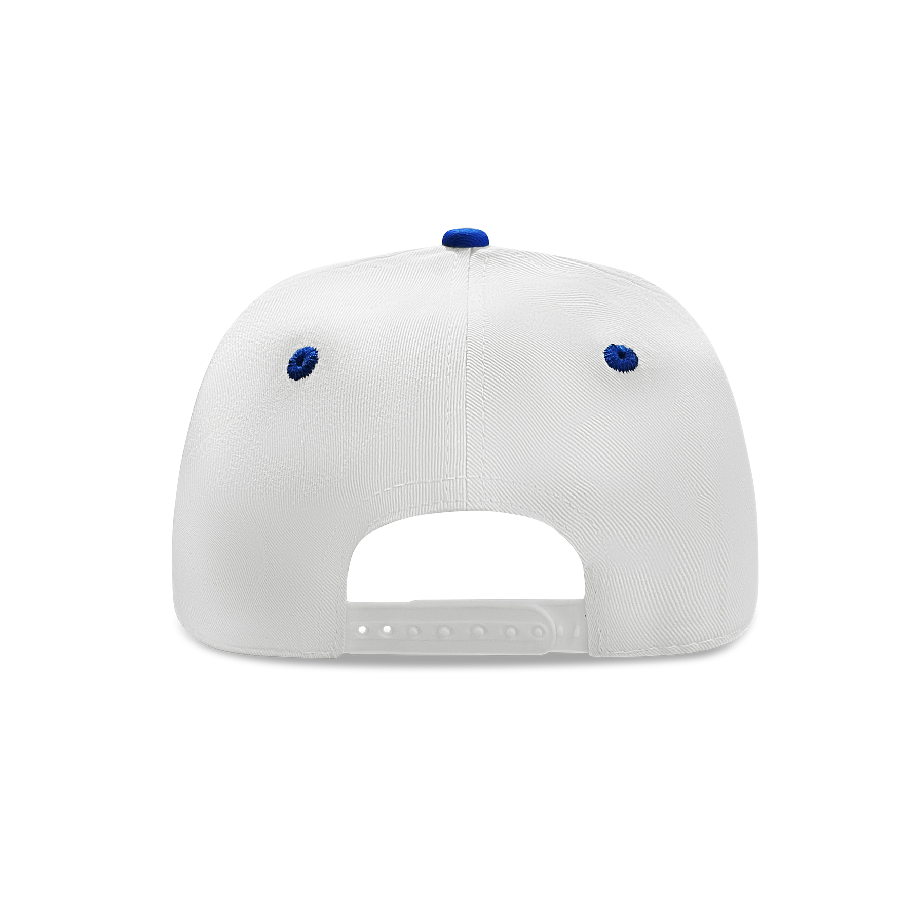 DISHIN® Hat (White/Royal)